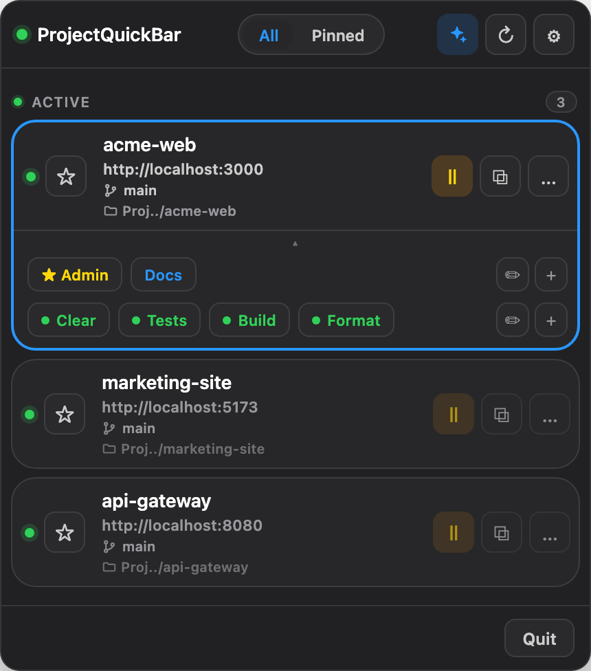 Expanded project row in ProjectQuickBar showing Admin and Docs URL chips plus Clear, Tests, Build, and Format quick actions